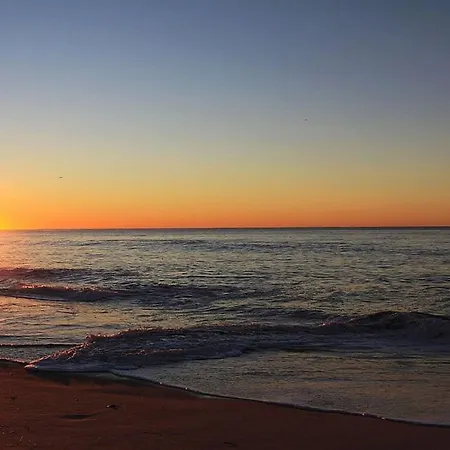 L'aigrette Bleue Frontignan