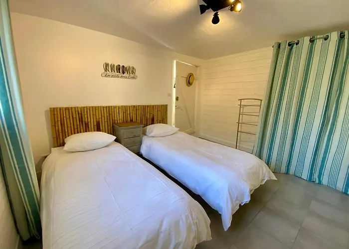 L'aigrette Bleue * Frontignan