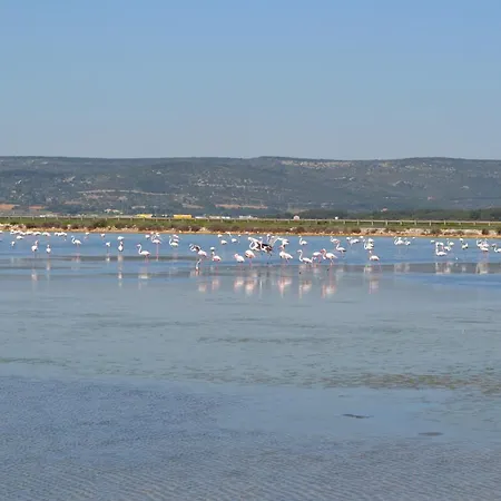 Apartment L'aigrette Bleue
