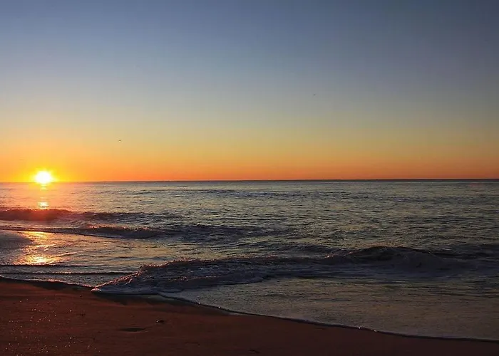 L'aigrette Bleue Frontignan