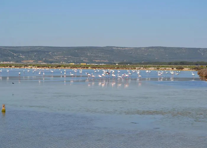 Lägenhet L'aigrette Bleue